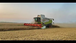 Żniwa 2021 ☆Claas Lexion 580☆2x John deere