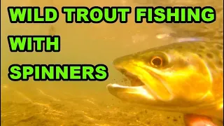 FISHING For WILD Brown TROUT in Pennsylvania with INLINE SPINNERS!