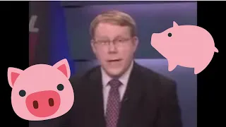 News Reporter can not stop Laughing at Chris P Bacon 🐷