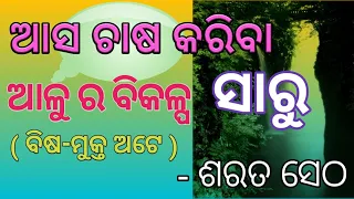 Agricultural Tips/ ସାରୁ ଚାଷ / Sarat Seth