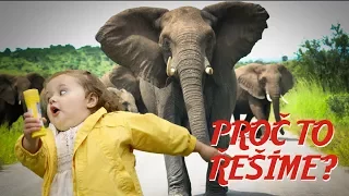 Selfie se slony je skvělý nápad aneb další Darwinovy ceny - Proč to řešíme? #116