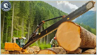 100 Unbelievable Fastest Big Forestry Chainsaw Machines Working At Another Level