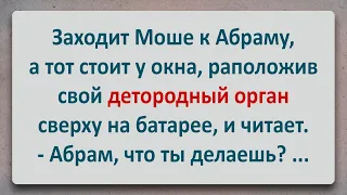 ✡️ Детородный орган Абрама! Анекдоты про Евреев! Еврейские Анекдоты! Выпуск #58