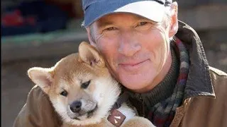 SEMPRE AO SEU LADO FILME ''historia real do cachorro HACHIKO"