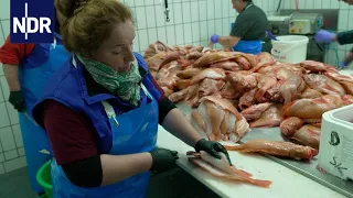 Heidi - das Original vom Fischmarkt | Die Nordreportage | NDR