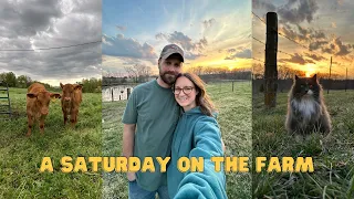 A SATURDAY ON THE FARM | 🐮 it's time for the ladies to head to pasture {4.13.24}