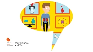 Your Kidneys and You