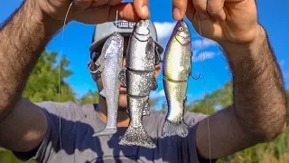 Fishing SWIMBAITS In A Small Pond for BIG BASS