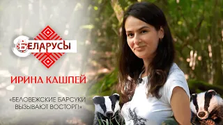 «Беловежские барсуки – восторг!» Эколог о Национальном парке и его обитателях