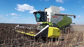 Жатка Sunfloro Shuft аналог Claas SunSpeed