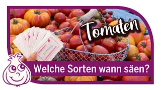 Aussaat im Februar von Tomaten - Wann startet man am besten mit Tomaten Voranzucht?