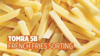 TOMRA 5B - French Fries Sorting