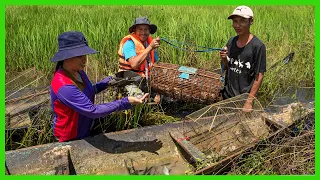 Rural Food Tour! Catching Fish in Large Scale of Water! Daily Family Business In Dong Aranh Village.