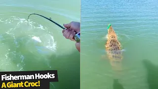 Fisherman accidently reels in a GIANT Crocodile which refused to let go of the line.