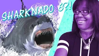 Sharknado 6 | Reaction and Love Story of Large Animal B-Movies