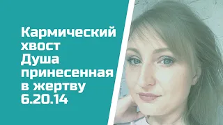 Когда всего тебе мало! Кармический хвост 6.20.14