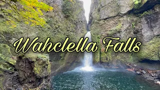 Wahclella Falls | Columbia River Gorge | Cascade Locks Oregon | USA