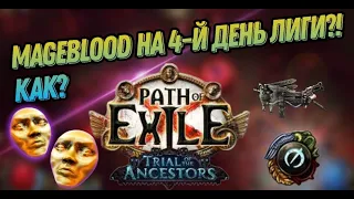 Mageblood на 4 день лиги в Path of Exile 3.22? Стратегия фарма и прогрессия Venom Gyre Deadeye в PoE