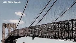 Life After People - Brooklyn Bridge