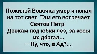 Вовочка Попал в на Тот Свет! Сборник Свежих Анекдотов! Юмор!