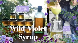 🌸 How I Make Wild Violet Syrup 🌸