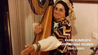 RABBI ELIMELECH HARP YIDDISH NEHAMA REUBEN נחמה ראובן