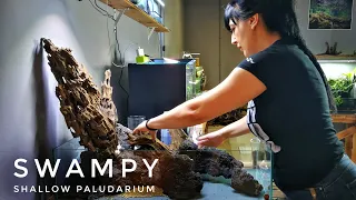 SWAMPY - Shallow paludarium at Little Tree Design Biotopes