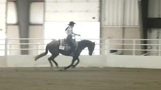 6 2 24   Buckeye Reining Spectacular   Rookie   Marybeth Raber on Renda Gunna Shine