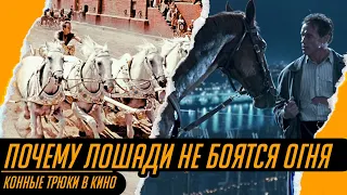 Каскадёр о прыжке через огонь на коне, жестких трюках и колесницах