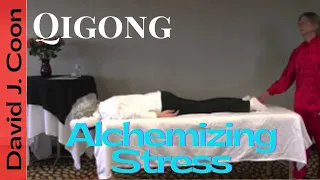 Online Medical Qigong Workshop - Alchemizing Stress - 15 CEUs 15 PDAs NCCAOM Approved