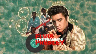 Purple Disco Ft. Elvis Presley & The Trammps - Burn Menergy Inferno