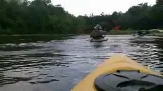 Leaf River kayaking