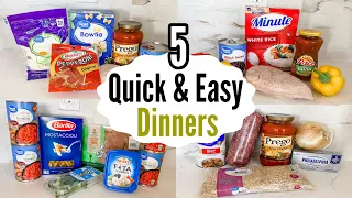 The EASIEST 5-Ingredient Recipes! | Simple & Tasty Dinners | Quick Cheap Meal Ideas | Julia Pacheco