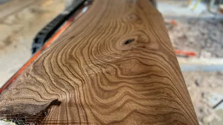 Never Seen Anything Like It, Saw-milling A Tree From Asia