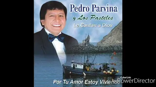 Pedro Parvina y Los Pasteles (Le Cantan a Dios) Por Tu Amor Estoy Viviendo Album Completo