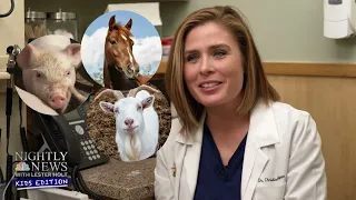 NBC Nightly News: Kids Edition - What's it like to be a veterinarian
