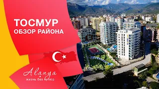 Недвижимость Турции #8 | Аланья- Тосмур, обзор района, инфраструктура. Какой район Аланьи лучше.