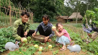 Ep 32 : My daughter came to visit, together we went to harvest melons - Building Free Life