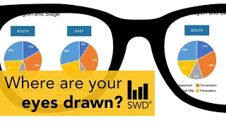 Data storyteller improves PIE CHARTS | EP.4 Where are your eyes drawn?