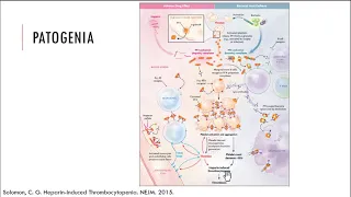Trombocitopenia inducida por heparina y trombocitopenias en el embarazo