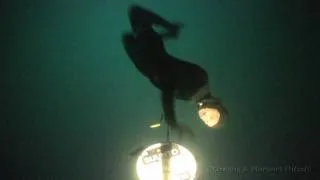 114m FIM Freediving world record