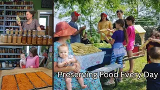 Easy Food Preservation ~ Canning, Drying, and Freezing #everybitcountschallenge