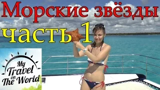 Морские звёзды. Остров Саона. Доминикана