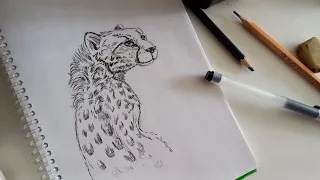 Рисунок Гепарда Ручкой с Нуля за 19 минут
