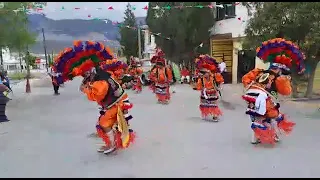 Danza guadalupana de Arteaga coah.