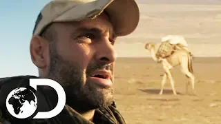 Ed Loses His Camel In The Middle Of The Scorching Desert | Ed Stafford: Into The Unknown