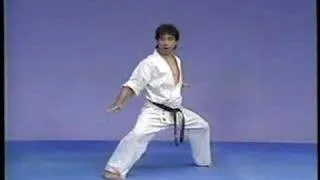 Karate kyokushin kata Gekisai sho