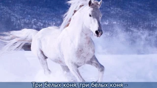 🎅 Три белых коня песня с субтитрами Чародеи 🎄 Cantofilm 🎄 Красивые зимние пейзажи - Долина