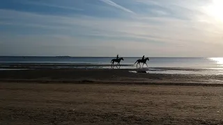 пляж "Сестрорецкий Курорт" / beach "Sestroretskiy Resort"