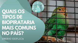 UNIRIO Explica: Biopirataria